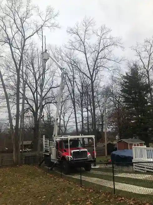 Penn West bucket truck removing tall trees over a backyard in Hermitage, PA