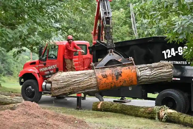 Penn West Tree crane truck loading a large tree trunk into a dump truck in Mercer County, PA