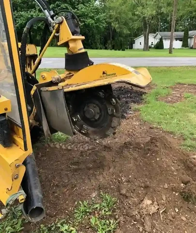 Stump grinder grinding a tree stump below grade in a Hermitage, PA front yard